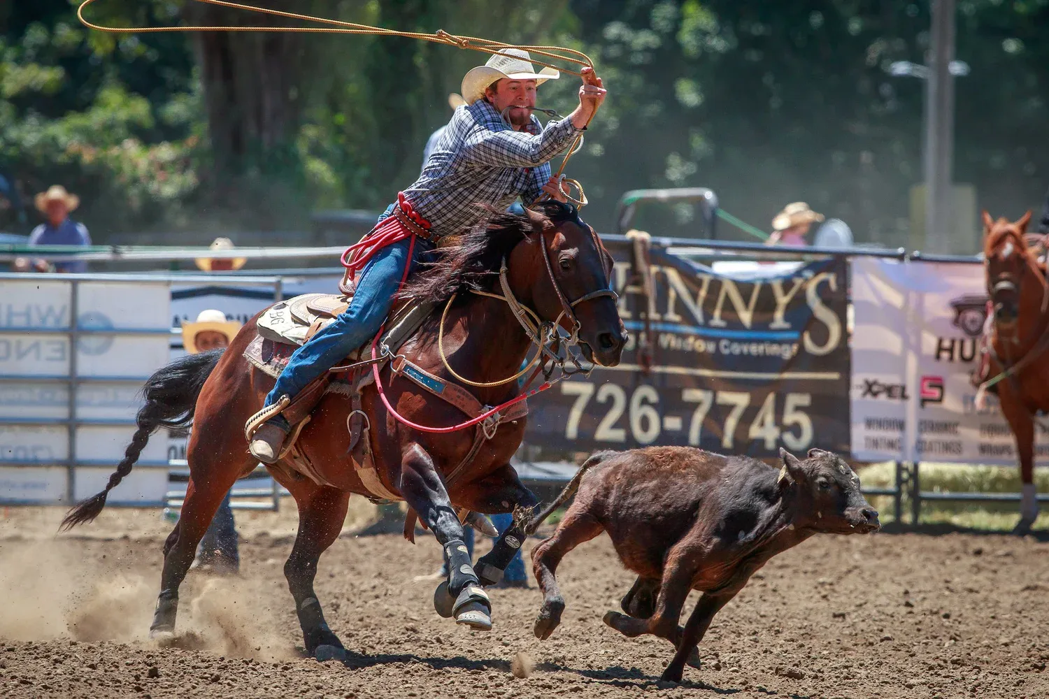 Bareback rider at the Fortuna Rodeo, an event Kreations Auto Body takes part in