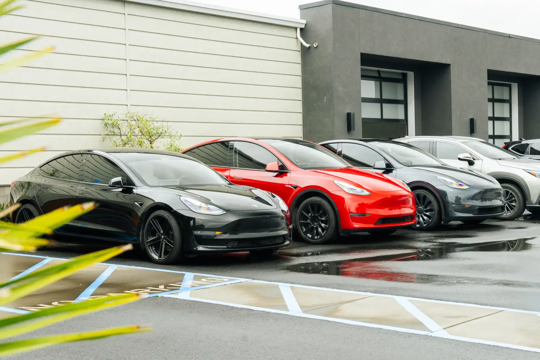 Lineup of Teslas outside Kreations Auto Body, Humboldt County's Tesla-certified shop